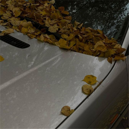 ���������˸е���������(��ѡ100��)