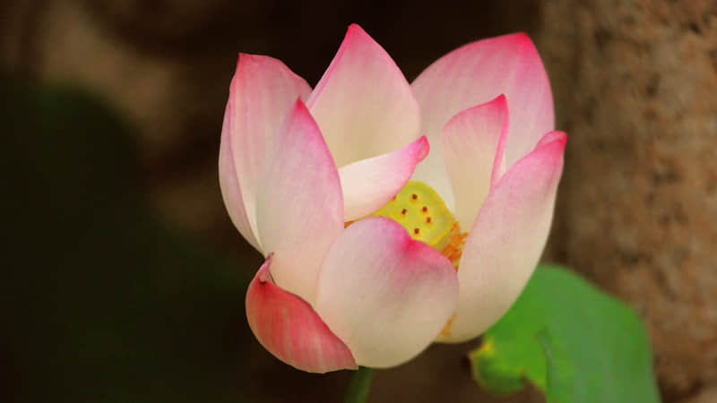 ��2?2?/??.??��Ϧҹ��ô������������Ȧ�����ղ�2.0��