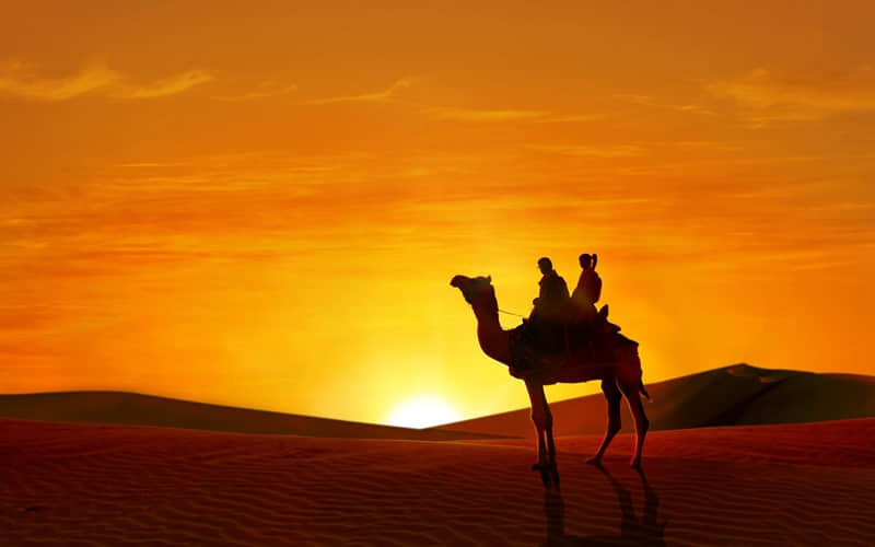 �����ս��þ֣�������Ȧ��??????��??