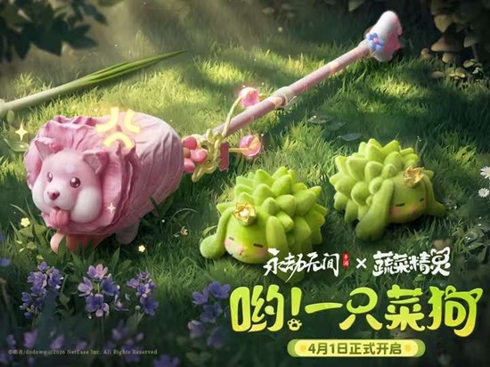 �����޼������߲˾�����������