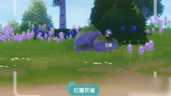 心动小镇怎么拍照 心动小镇拍照方法_wishdown.com 心动小镇怎么拍照 心动小镇拍照方法_wishdown.com