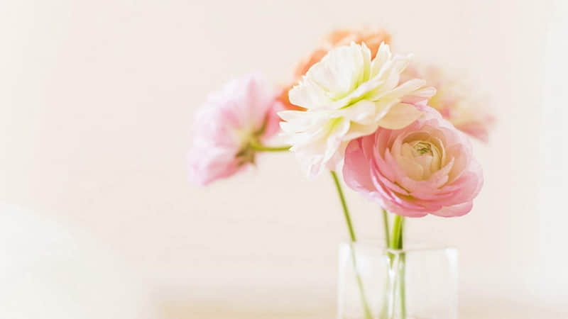 �� ??�ϼ����������ǰ��ɵ��ǳ� ��