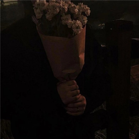 ���������İ��˸�����(��ѡ100��)