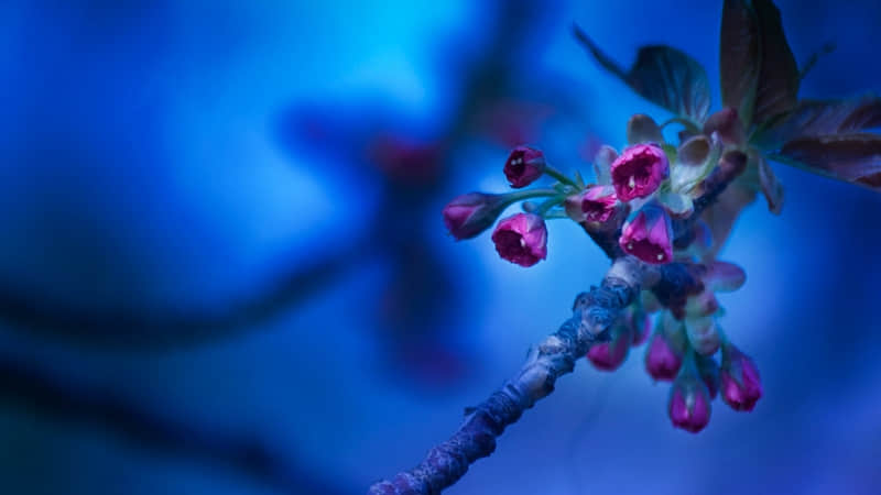 ��?�A??????????�@?���õ��İ���һ��͹���??��