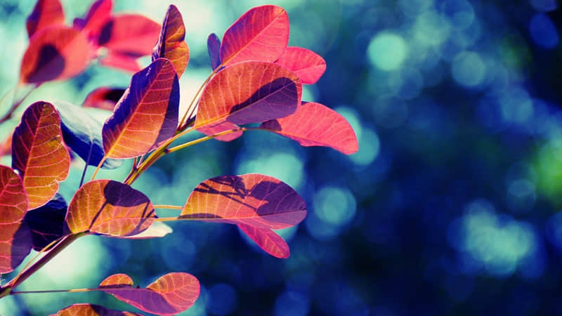 “想某人了,这么发,乐坏他??”_wishdown.com “想某人了,这么发,乐坏他??”_wishdown.com