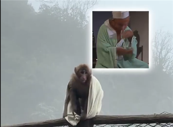 ��üɽ���������ο��·������������ư�ʦʱ�������