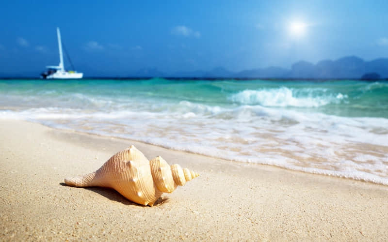 “宝,你越冷淡,他对你越上头”_wishdown.com “宝,你越冷淡,他对你越上头”_wishdown.com