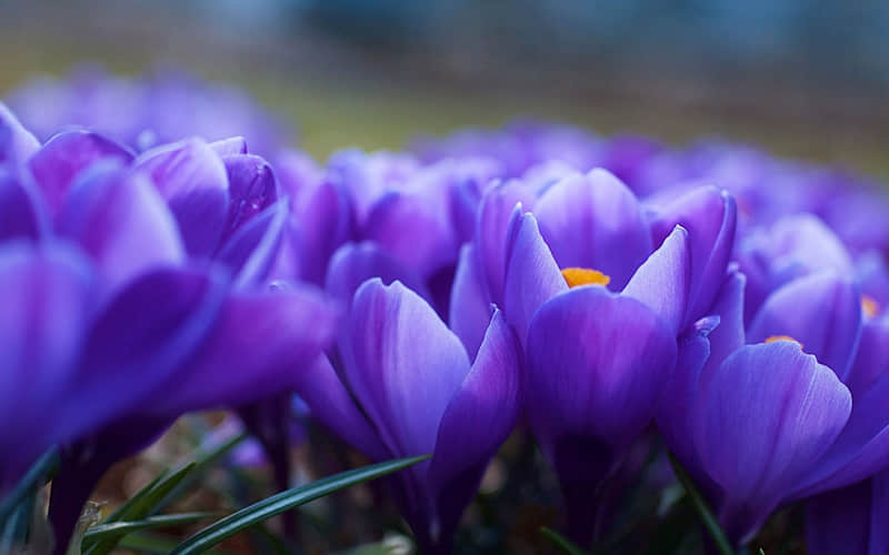 “小年,发一条不一样的朋友圈”_wishdown.com “小年,发一条不一样的朋友圈”_wishdown.com