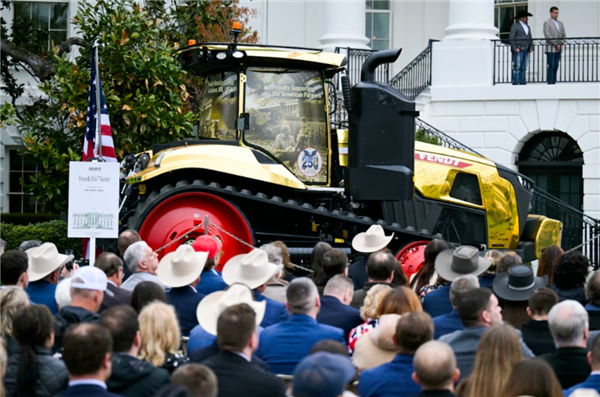 ȫ��������ƫ����ɫ����������׹� �����������жϽ�������