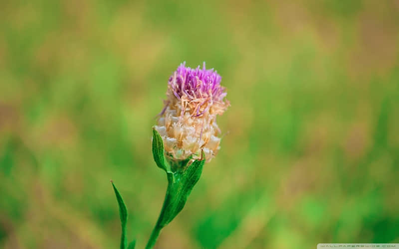 �� 2?2?/??.????С?��?�İ�������Ȧһ��Ҫ��������