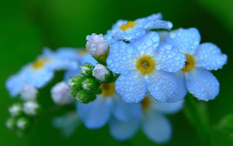 “最近网上很火,你却还不懂的热梗”_wishdown.com “最近网上很火,你却还不懂的热梗”_wishdown.com