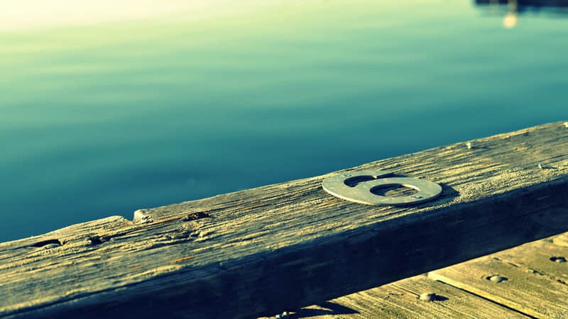 “最近网上很火,你却还不懂的热梗”_wishdown.com “最近网上很火,你却还不懂的热梗”_wishdown.com