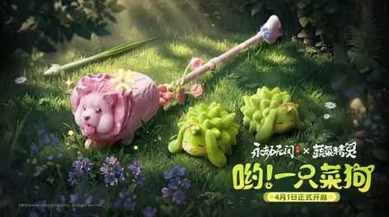 �����޼�����&times;�߲˾�������4��1�տ���