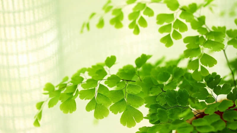 ��2?2?/??.??����16�ų�Ϧ���죬һ��Ҫ����������Ȧ��̫�ио���~��??