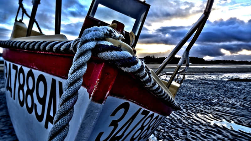 “突然被这段话共情了, 你有吗?”_wishdown.com “突然被这段话共情了, 你有吗?”_wishdown.com