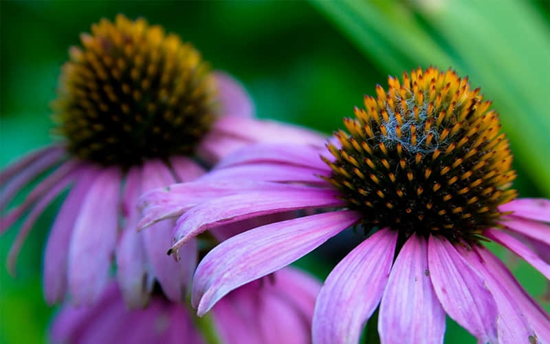 “2?2?/??.?? 小年,发条不一样的朋友圈”??_wishdown.com “2?2?/??.?? 小年,发条不一样的朋友圈”??_wishdown.com