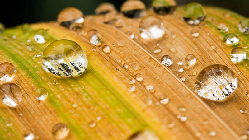 ““2?2?????.??小年文案这样发,惊艳你的朋友圈”_wishdown.com ““2?2?????.??小年文案这样发,惊艳你的朋友圈”_wishdown.com