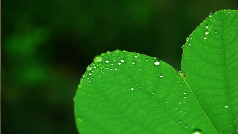 “叫‘老婆’已经不流行了??,现在都叫这10种称呼”_wishdown.com “叫‘老婆’已经不流行了??,现在都叫这10种称呼”_wishdown.com