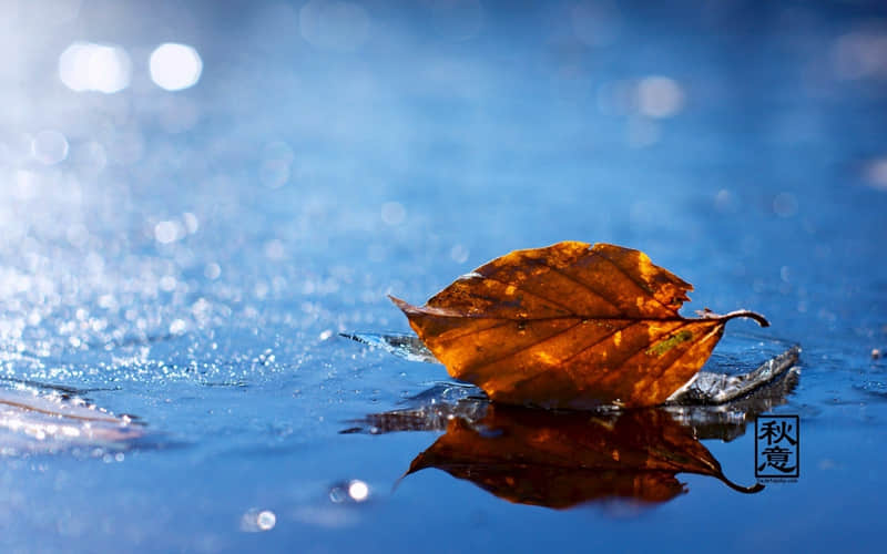 “存起来,除夕夜那天发,高级感绝了”_wishdown.com “存起来,除夕夜那天发,高级感绝了”_wishdown.com