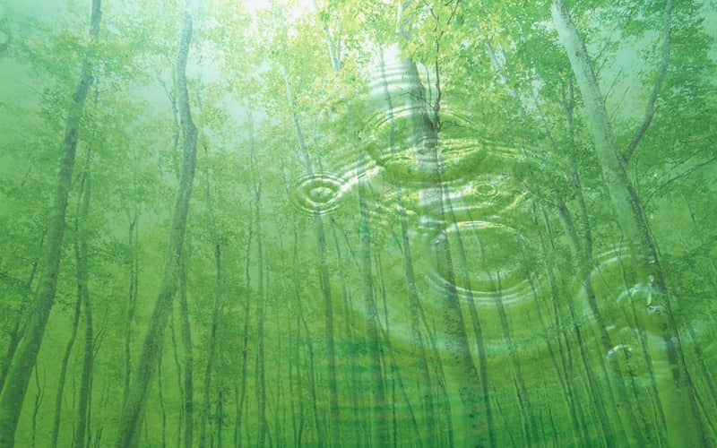 “过年回村这么发,笑颠朋友圈”_wishdown.com “过年回村这么发,笑颠朋友圈”_wishdown.com