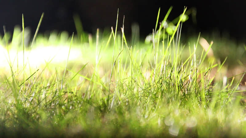 “过年回村这么发,笑颠朋友圈”_wishdown.com “过年回村这么发,笑颠朋友圈”_wishdown.com