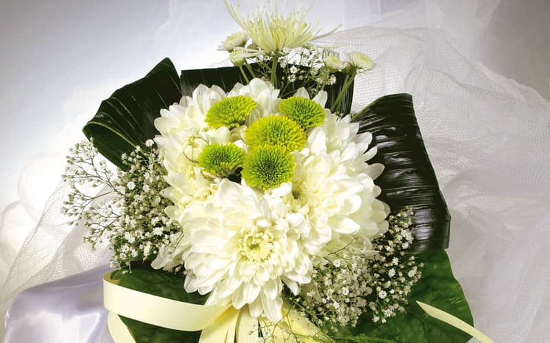 "????????,请挑一句赠予自己??~"_wishdown.com "????????,请挑一句赠予自己??~"_wishdown.com