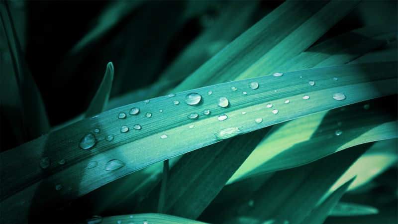 “落落大方的你??,一定要这样说”_wishdown.com “落落大方的你??,一定要这样说”_wishdown.com