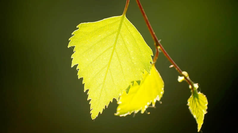 “年底,生意人答谢客户,发个全新的朋友圈,让客户深深记住你!”_wishdown.com “年底,生意人答谢客户,发个全新的朋友圈,让客户深深记住你!”_wishdown.com