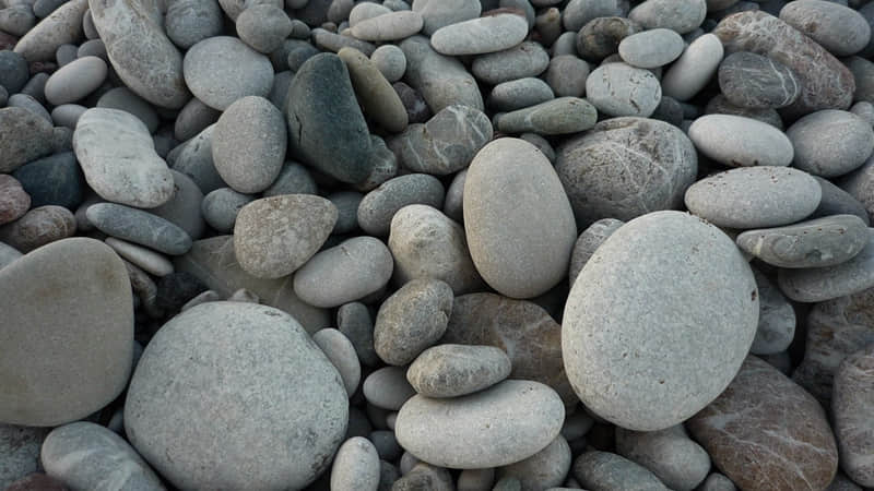 ������Ů��������Ȧ���������ܸ߼���