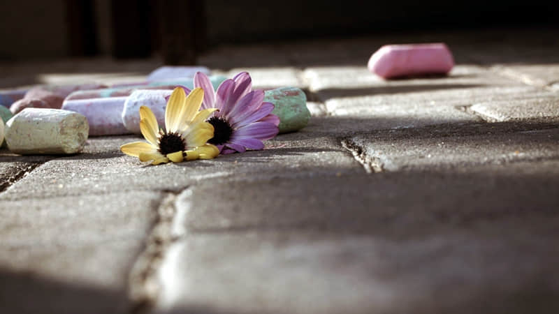 “??нёιι? 2?0?2?6???新年文案??,收藏起来,大年初一朋友圈这样发,高级大方”_wishdown.com “??нёιι? 2?0?2?6???新年文案??,收藏起来,大年初一朋友圈这样发,高级大方”_wishdown.com