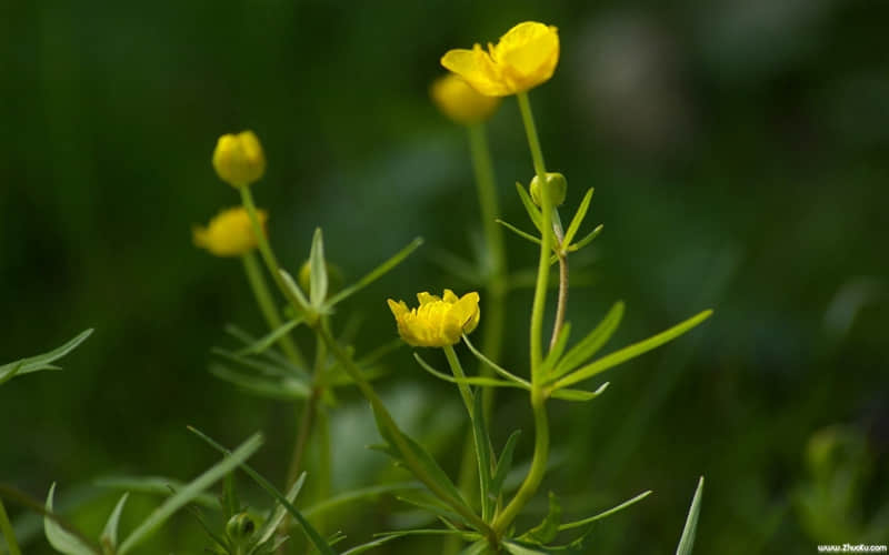 “清醒而不烂俗的走心文案”_wishdown.com “清醒而不烂俗的走心文案”_wishdown.com