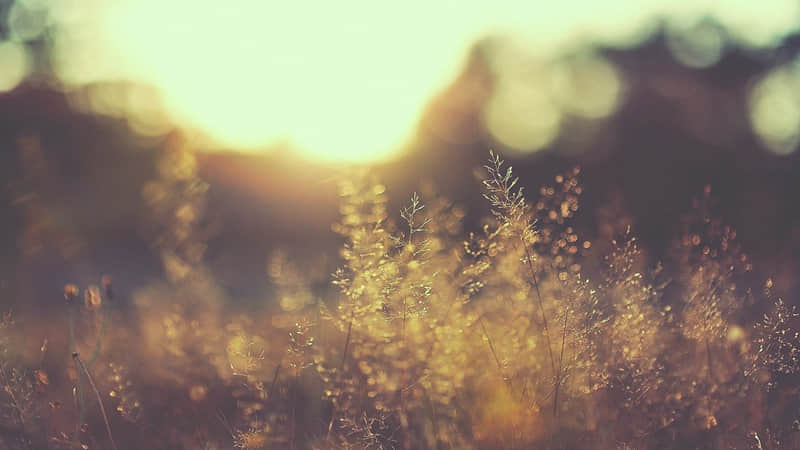 “朋友圈这样发,干净治愈又高级”_wishdown.com “朋友圈这样发,干净治愈又高级”_wishdown.com