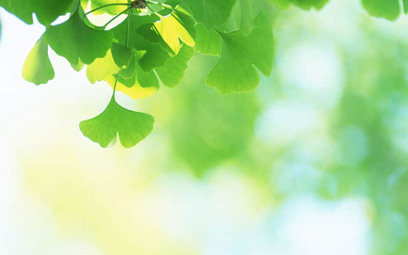 “2?2?/??.??除夕夜??,请发一种很新的朋友圈”_wishdown.com “2?2?/??.??除夕夜??,请发一种很新的朋友圈”_wishdown.com