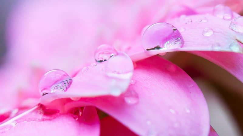 “2?2?/??.??除夕夜??,请发一种很新的朋友圈”_wishdown.com “2?2?/??.??除夕夜??,请发一种很新的朋友圈”_wishdown.com