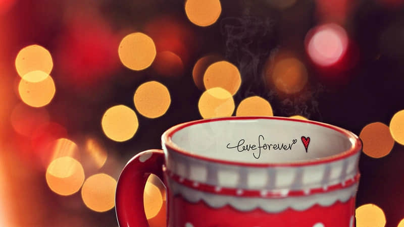 “????????,请挑一句赠予自己??~”_wishdown.com “????????,请挑一句赠予自己??~”_wishdown.com