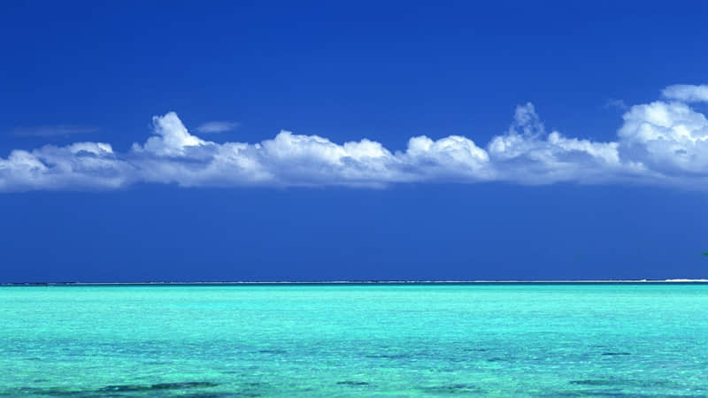 取个厅里厅气的微信昵称??_wishdown.com 取个厅里厅气的微信昵称??_wishdown.com