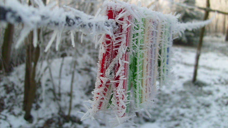 “早安朋?友?圈?这样发,太招财了”_wishdown.com “早安朋?友?圈?这样发,太招财了”_wishdown.com