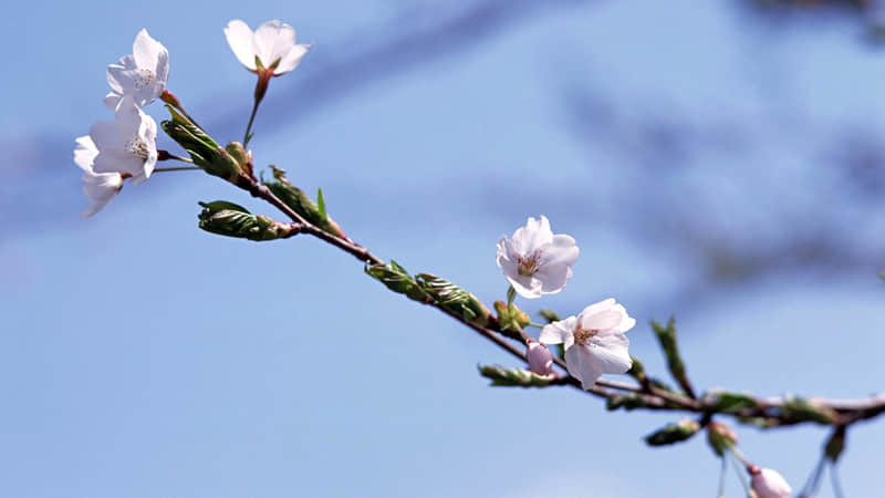 “????????除夕夜????:???? ????发圈文案??ˋ???ˊ?”_wishdown.com “????????除夕夜????:???? ????发圈文案??ˋ???ˊ?”_wishdown.com