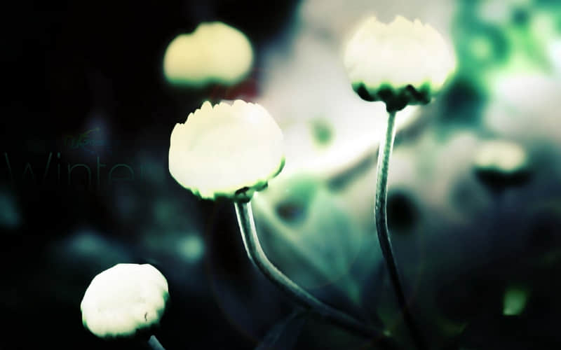 “????????除夕夜????:???? ????发圈文案??ˋ???ˊ?”_wishdown.com “????????除夕夜????:???? ????发圈文案??ˋ???ˊ?”_wishdown.com