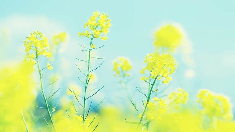 “????????除夕夜????:???? ????发圈文案??ˋ???ˊ?”_wishdown.com “????????除夕夜????:???? ????发圈文案??ˋ???ˊ?”_wishdown.com