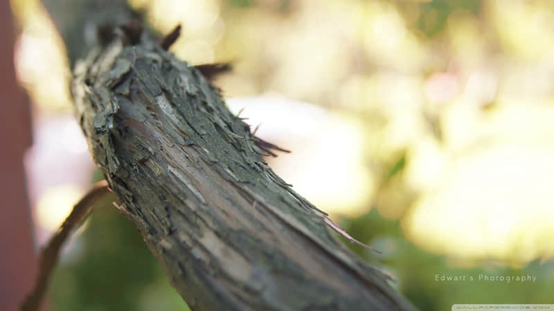 “央视除夕夜顶级文案,句句惊艳,满满祝福,一马当先”_wishdown.com “央视除夕夜顶级文案,句句惊艳,满满祝福,一马当先”_wishdown.com