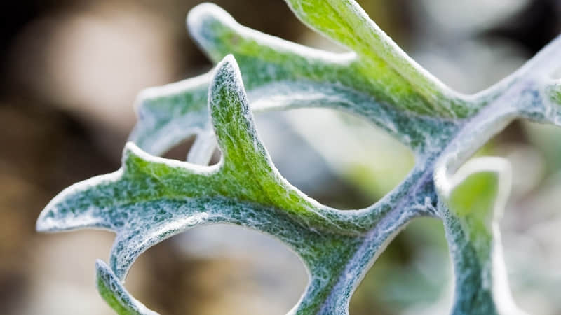 “2月16日除?夕???,朋友圈一定要这样发”_wishdown.com “2月16日除?夕???,朋友圈一定要这样发”_wishdown.com