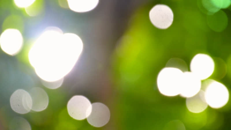 “2月16日除?夕???,朋友圈一定要这样发”_wishdown.com “2月16日除?夕???,朋友圈一定要这样发”_wishdown.com