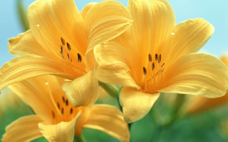 “除夕,请发一条不一样的朋友圈”_wishdown.com “除夕,请发一条不一样的朋友圈”_wishdown.com