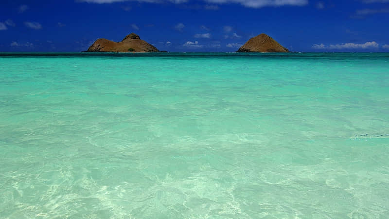 ����Ϧ�İ�����������̫�ио���