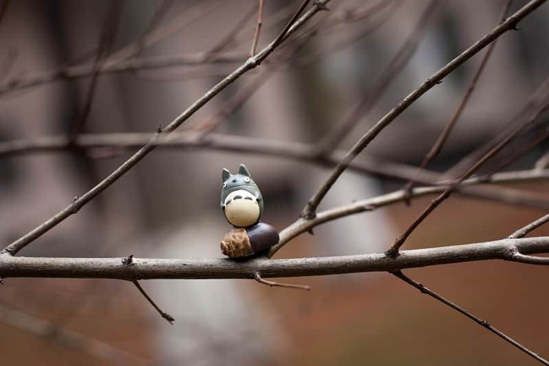 “除夕文案”这样发,太有感觉了_wishdown.com “除夕文案”这样发,太有感觉了_wishdown.com