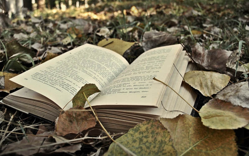 ��һ��Ů��˯ǰ���������İ���