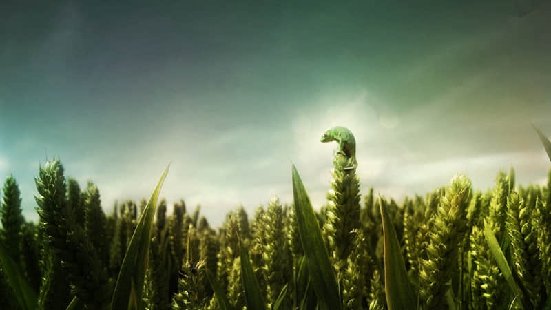 “一个女人睡前发的晚安文案”_wishdown.com “一个女人睡前发的晚安文案”_wishdown.com