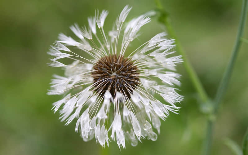 “收藏!2?2?/??.??除夕朋友圈文案来啦,干净又治愈,惊艳朋友圈~”_wishdown.com “收藏!2?2?/??.??除夕朋友圈文案来啦,干净又治愈,惊艳朋友圈~”_wishdown.com