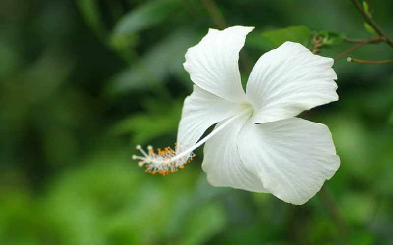 “收藏!2?2?/??.??除夕朋友圈文案来啦,干净又治愈,惊艳朋友圈~”_wishdown.com “收藏!2?2?/??.??除夕朋友圈文案来啦,干净又治愈,惊艳朋友圈~”_wishdown.com